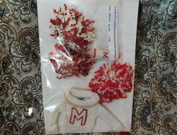 cheerleader 876 pompoms